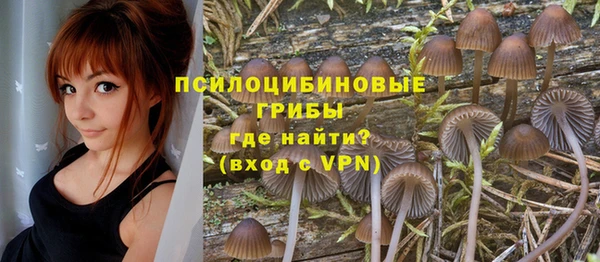 первитин Алзамай