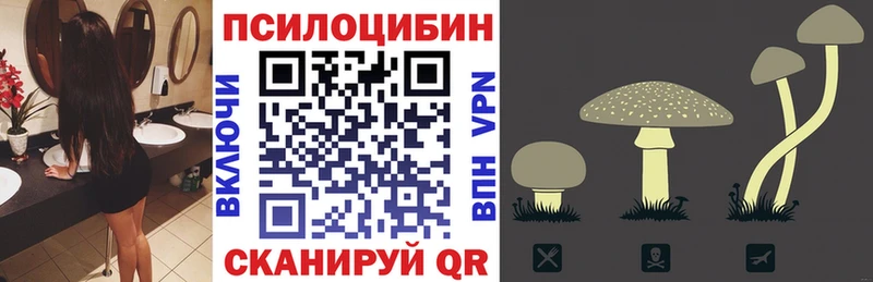 Псилоцибиновые грибы GOLDEN TEACHER  Ленинск 