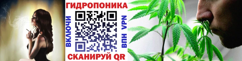 Конопля Amnesia Ленинск